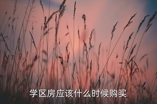 学区房应该什么时候购买