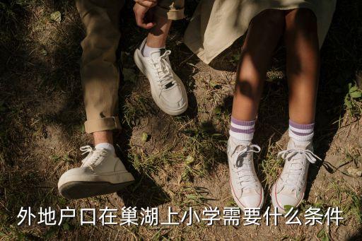 巢湖学区房有什么要求，外地户口在巢湖上小学需要什么条件