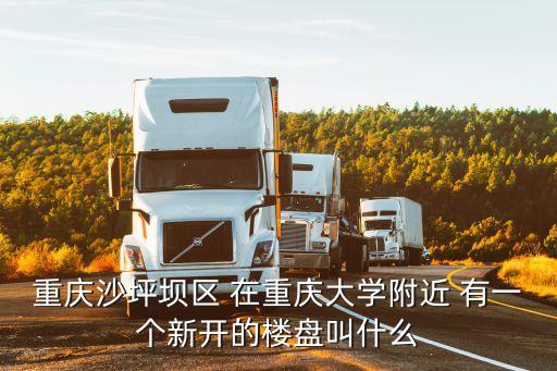 沙坪坝学区房叫什么，重庆沙坪坝区 在重庆大学附近 有一个新开的楼盘叫什么