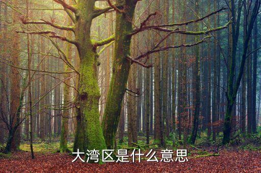 日本学区房什么概念，日本的哪所高中好