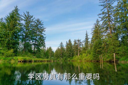 学区房真有那么重要吗