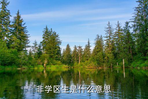 非学区生是什么意思