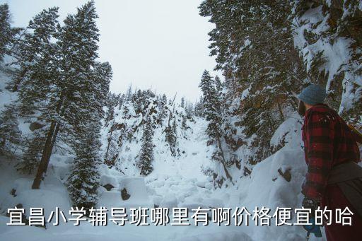 宜昌小学辅导班哪里有啊价格便宜的哈