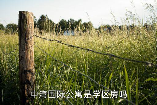 中湾国际公寓是学区房吗
