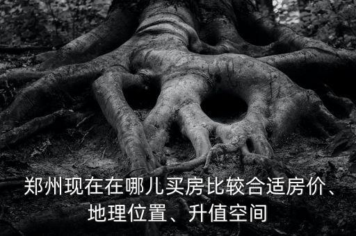  郑州现在在哪儿买房比较合适房价、地理位置、升值空间