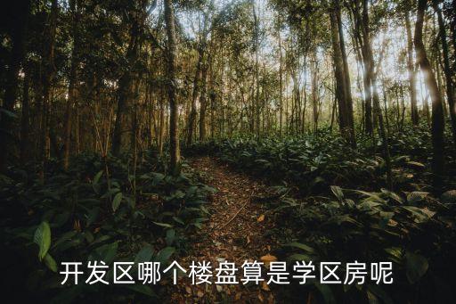开发区哪个楼盘算是学区房呢