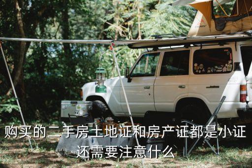 购买的二手房土地证和房产证都是小证还需要注意什么