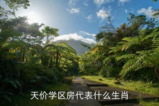 天价学区房代表什么生肖