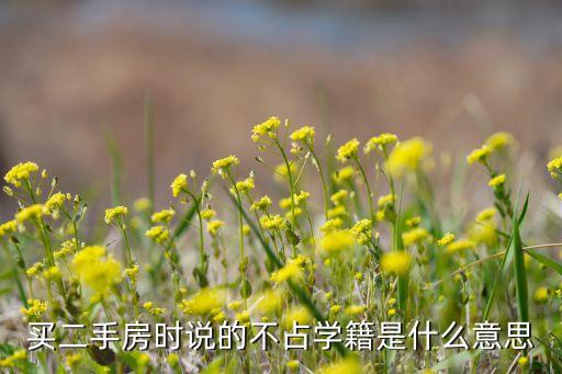 学区房不占什么意思，新规定是不是还是非要买房子不占学籍的