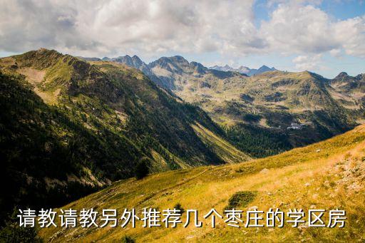 请教请教另外推荐几个枣庄的学区房