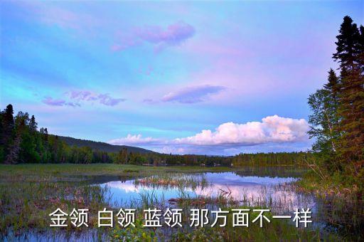 金领 白领 蓝领 那方面不一样