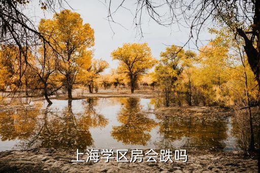 上海学区房会跌吗