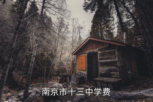 南京市十三中学费