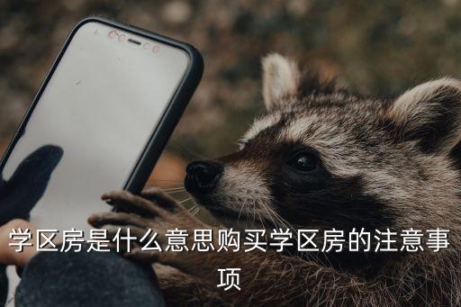 学区房是什么意思购买学区房的注意事项