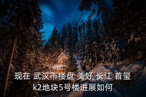 武汉美好长江首玺最新消息