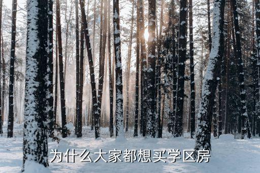 为什么大家都想买学区房