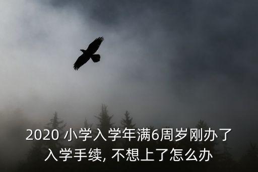 2020 小学入学年满6周岁刚办了入学手续, 不想上了怎么办
