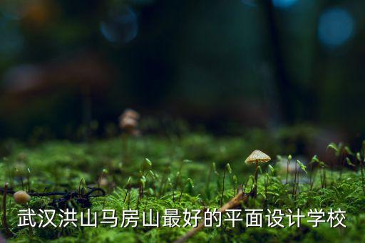 武汉洪山马房山最好的平面设计学校