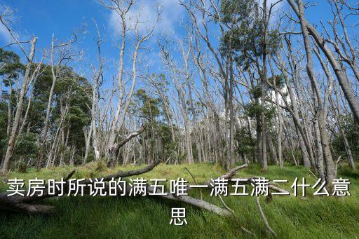 学区房满二什么意思，卖房时所说的满五唯一满五满二什么意思
