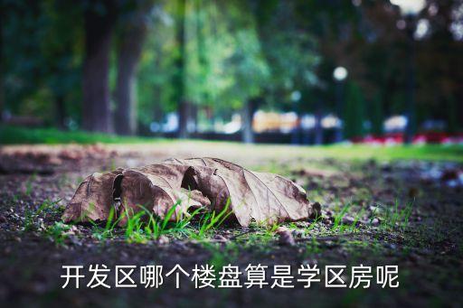 开发区哪个楼盘算是学区房呢