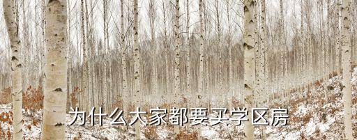 为什么大家都要买学区房