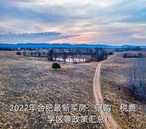 2022年合肥最新买房、限购、税费、学区等政策汇总!
