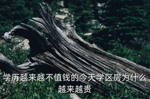 学历越来越不值钱的今天学区房为什么越来越贵