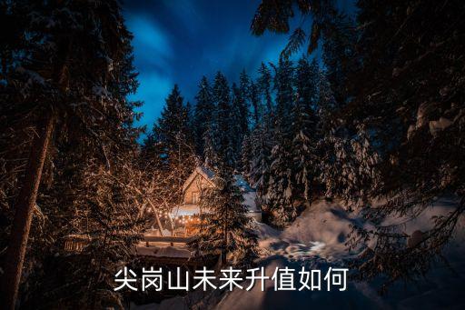尖岗山未来升值如何
