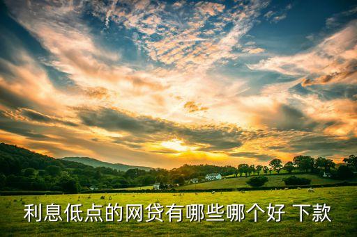 利息低点的网贷有哪些哪个好 下款