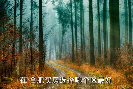 阜阳到合肥买学区房多少钱