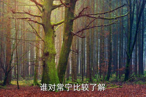 谁对常宁比较了解