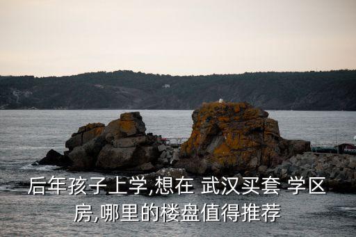 武汉好学区房有哪些,武汉学区房排名