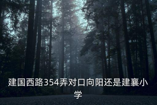 建襄学区房是什么，上海重点学区建襄 向阳 高安 到底哪个好