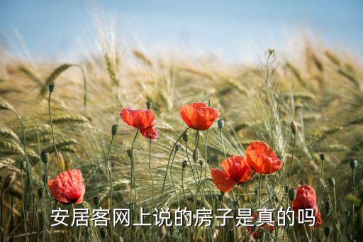  安居客网上说的房子是真的吗