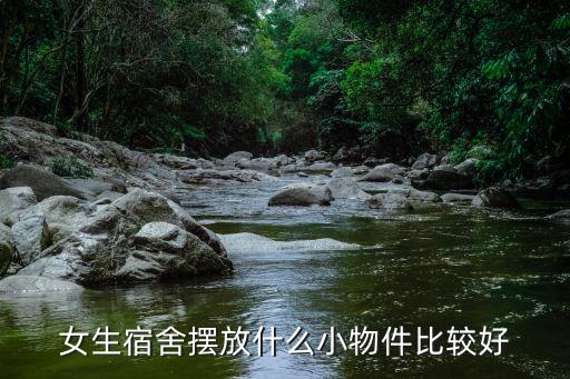 女生宿舍摆放什么小物件比较好