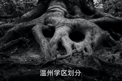 温州学区划分
