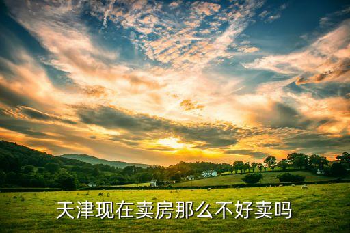 天津现在卖房那么不好卖吗