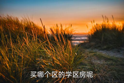 买哪个区的学区房呢
