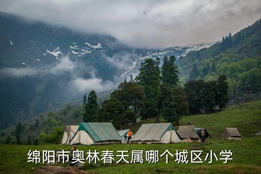 绵阳市奥林春天属哪个城区小学