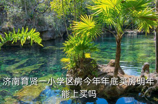 济南学区房什么时候可以卖，关于学区房的事情急急急跪求啊啊卖掉学区房还能上重点学校