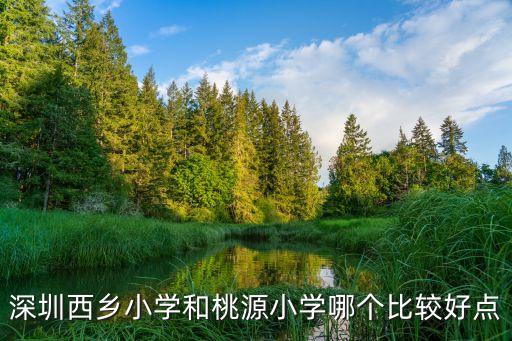 深圳西乡小学和桃源小学哪个比较好点