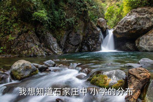 我想知道石家庄中 小学的分布
