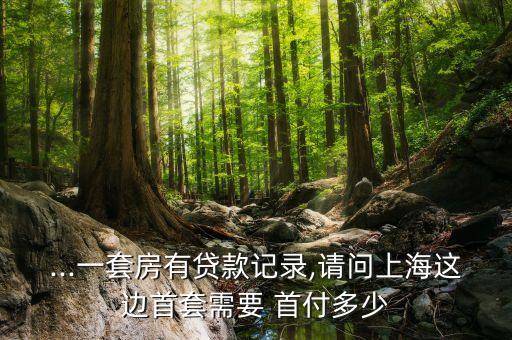 ...一套房有贷款记录,请问上海这边首套需要 首付多少