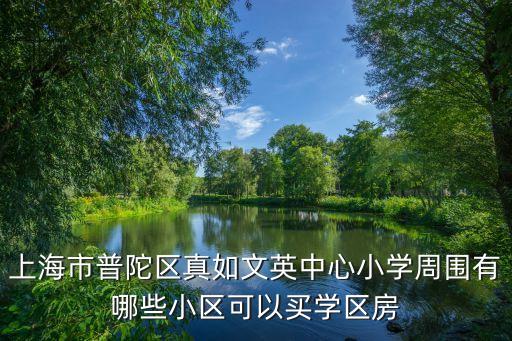 釆莲新村什么学区房，上海市普陀区真如文英中心小学周围有哪些小区可以买学区房