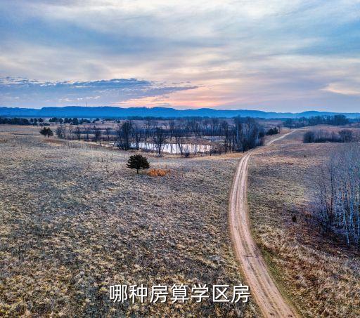 哪种房算学区房