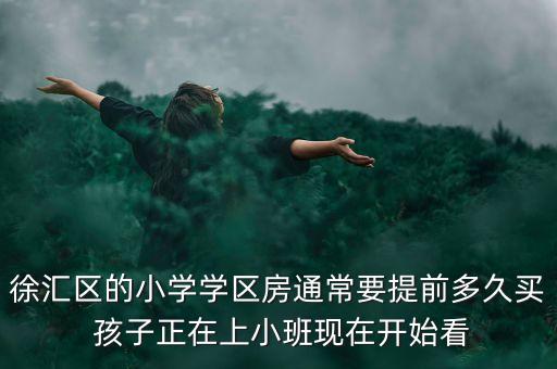 徐汇区的小学学区房通常要提前多久买 孩子正在上小班现在开始看