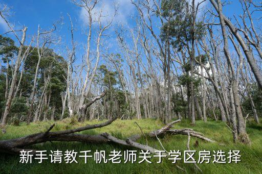 瑞安新外滩什么学区房好，孩子要上小学了要买学区房了有没有好点的推荐一下最好是学校