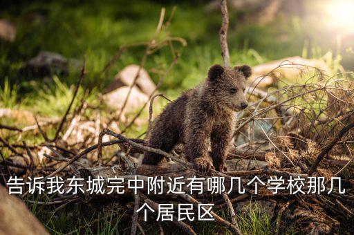 告诉我东城完中附近有哪几个学校那几个居民区