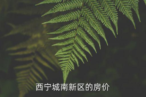 西宁城南新区的房价