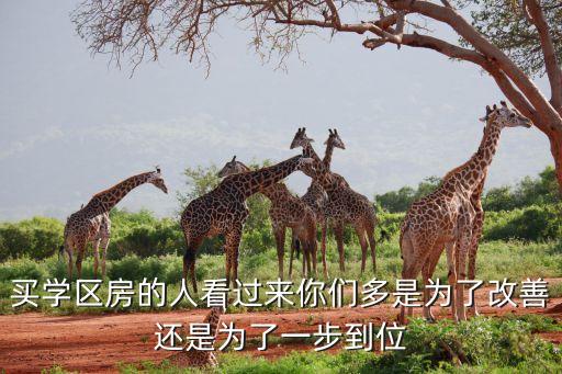 买学区房的人看过来你们多是为了改善还是为了一步到位